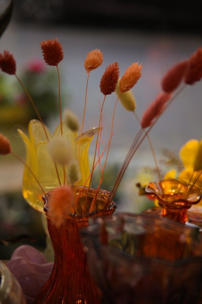 Un parfum de souvenir et de tendresse photo 24